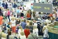 Moscow, RUSSIA Ã¢â¬â JUNE 13: passengers are expected to pick up at the airport Sheremetyevo-2, Royalty Free Stock Photo